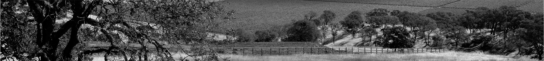 Suisun Valley AVA