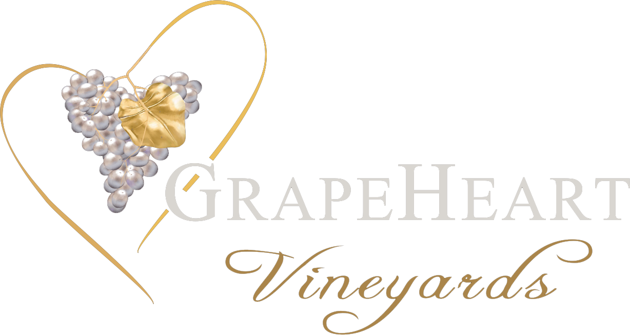 Napa Valley Wine